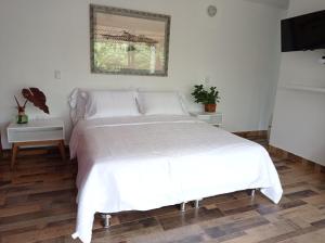 1 dormitorio con cama blanca y espejo en Tierra Negra Suite, en Pereira