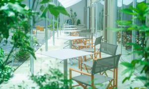 八王子市TAKAONE ACTIVITY＆STAY的相册照片