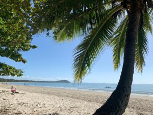 una palmera en una playa con el océano en Beachside 2 with Private Heated Plunge Pool, en Port Douglas