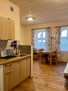 Η κουζίνα ή μικρή κουζίνα στο Czarna Jachta - CZĘŚĆ DOMU NA WYŁĄCZNOŚĆ