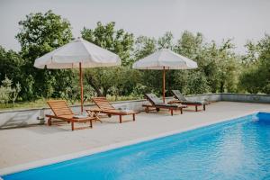 Bazén v ubytování Villa Laurus Residence nebo v jeho okolí