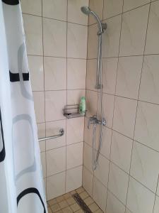 a bathroom with a shower with a shower head at Apartma Šmid in Škofja Loka