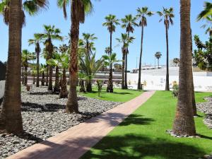 A garden outside Swimsuit Friendly Holiday Home