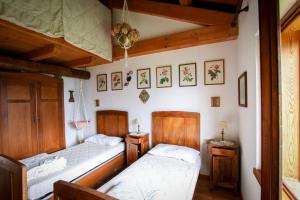 2 aparte bedden in een kamer met houten wanden bij Baita Agaz in Sovramonte