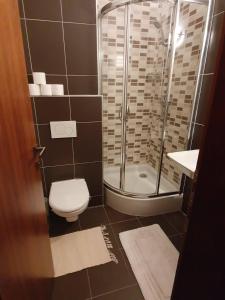 a small bathroom with a shower and a toilet at U starého jaštera in Veľká Lomnica