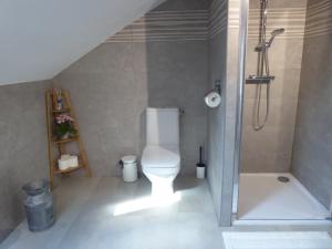 a bathroom with a shower and a toilet and a tub at Chez Brigitte et Gilbert in Guebwiller