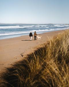 a dog and a horse are walking on the beach at Machrie Hotel & Golf Links in Port Ellen