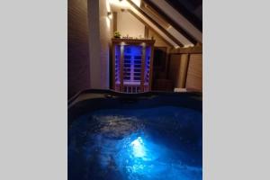 a jacuzzi tub in the middle of a room at ČAROBNA ŠUMA ***(magic forest) in Karlovac