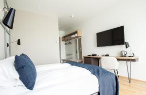 Fosshotel Reykholt的电视和/或娱乐中心