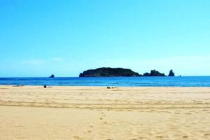 una playa de arena con una isla en el océano en Apartamento en L'estartit a 100 metros de la playa, en L'Estartit