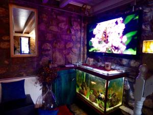 Et tv og/eller underholdning på Marina's Stone Cottage