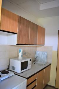 a kitchen with a microwave and a sink at Chatová osada OKÁL in Patince