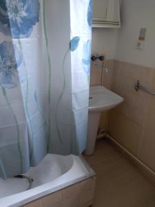 a bathroom with a shower curtain and a sink at Chatová osada OKÁL in Patince