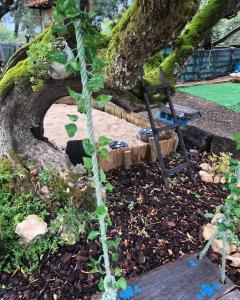 Galeriebild der Unterkunft Turismo Rural casa da céu in Amiães de Cima + 70 Fotos