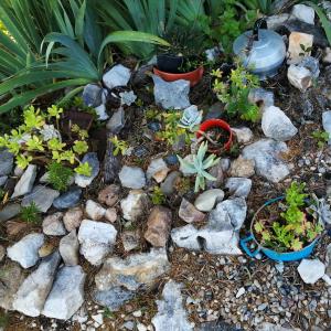 Galeriebild der Unterkunft Turismo Rural casa da céu in Amiães de Cima