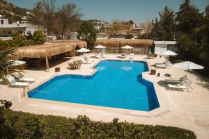 a large swimming pool with chairs and umbrellas at Lemon Garden Türkbükü in Türkbükü