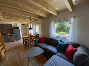 ein Wohnzimmer mit einem blauen Sofa und einer Küche in der Unterkunft Ferienhaus Richtermühle in Sebnitz