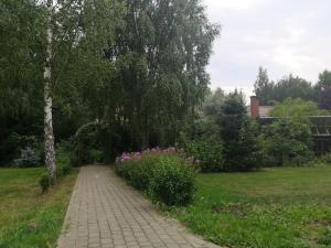 Ogród w obiekcie Brzozowy Zaułek