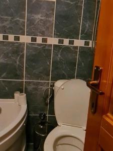 ein Bad mit einem WC und einem Waschbecken in der Unterkunft Mountain House Mir in Berane
