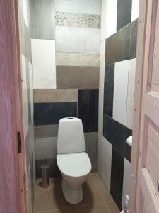 a bathroom with a white toilet in a room at Türi Vibukooli majutus in Türi