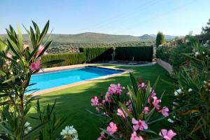 a yard with a swimming pool and some flowers at Alojamiento Rural La Viña del Cerezo in Huelma