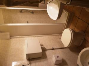 a bathroom with a toilet and a bath tub at Hotel La Rosa in Teglio