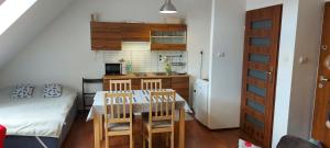 Kuchyňa alebo kuchynka v ubytovaní Apartament Studio