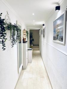 Fotografie z fotogalerie ubytování Studio Nina v destinaci Umag