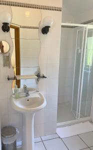 a bathroom with a sink and a shower at O'Domhnaill's Guesthouse - Lig do Scíth in Galway