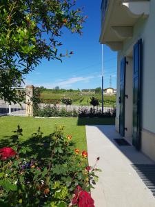 Zahrada ubytování ROSETO HOLIDAYS AZZURRO