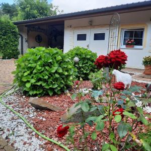 Zahrada ubytování Ferienwohnung mit Herz