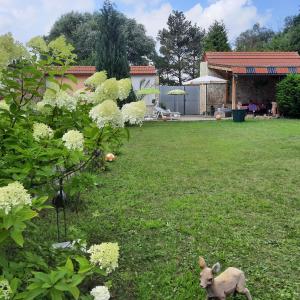Zahrada ubytování Ferienwohnung mit Herz