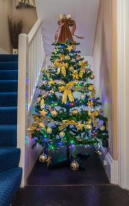 Un árbol de Navidad con luces en las escaleras en Withy Cottages, en Langport