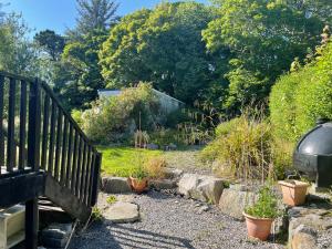 a garden with potted plants and a wooden bench at O'Domhnaill's Guesthouse - Lig do Scíth in Galway