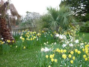 a garden of flowers in front of a wooden fence at St Maur in Ventnor