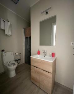 ein Badezimmer mit einem Waschbecken, einem WC und einem Spiegel in der Unterkunft La Perla Nera Affittacamere in San Giacomo
