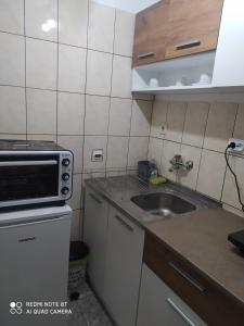 Apartman studio Pavle i Petra的厨房或小厨房