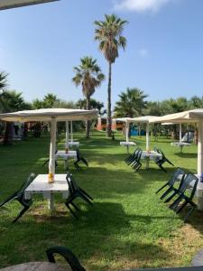una fila de mesas y sillas en un parque con palmeras en Camping Carratois en Portopalo