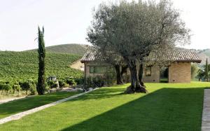 Градина пред Relais Cocci Grifoni - Panoramic Wine Resort