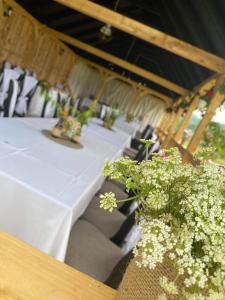 ein Tisch mit einem weißen Tischtuch und einigen Pflanzen in der Unterkunft Casa Florus in Sighetu Marmaţiei