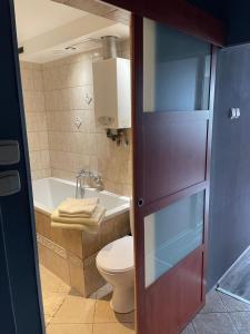 a bathroom with a toilet and a sink and a tub at City Center Apartment in Katowice