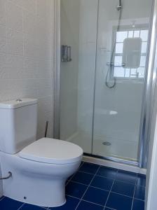 La salle de bains est pourvue de toilettes et d'une douche en verre. dans l'établissement Apartamentos Ázera - Laura Ázera, à Praia da Vitória