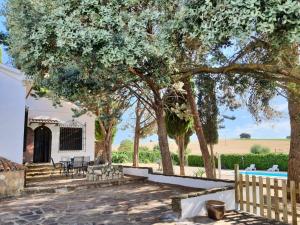 d'une terrasse avec une table et des chaises sous un arbre. dans l'établissement Dehesa Vieja Casa Rural, à Alarcón