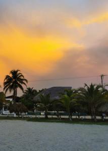 a group of palm trees on a beach at sunset at Casa el Muelle in Coveñas