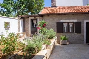 Zahrada ubytování Villa Pomalo