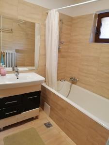 a bathroom with a sink and a tub and a shower at Casă de oaspeți ORSO in Sovata