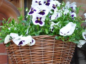 a basket filled with white and purple flowers at The Hayloft B and B in Newbury