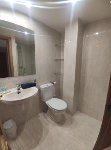 a bathroom with a toilet and a sink at Apartamento Libertad in Jaca +10 photos