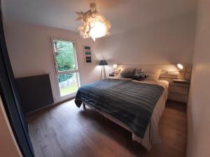 塞夫里耶的住宿－Villa du Lac - Clos Berthet，一间卧室设有一张床、一个窗户和一个吊灯。