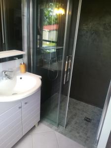 uma casa de banho com um chuveiro e um lavatório. em Les Arums de Fondeminjean em Vertheuil-en-Médoc